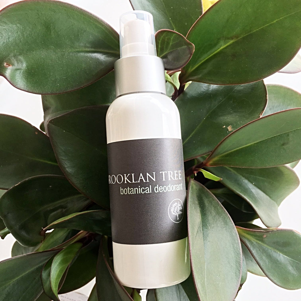 Botanical Deodorant - Brooklan Tree