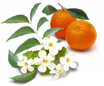 Orange Flower Facial Freshener - Brooklan Tree